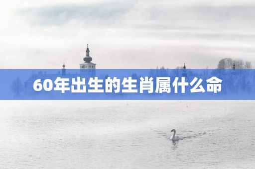 60年出生的生肖属什么命
