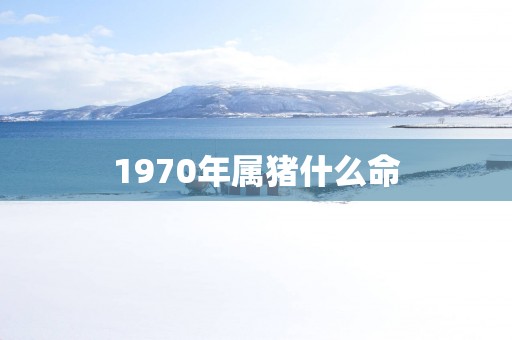 1970年属猪什么命