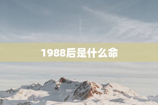 1988后是什么命