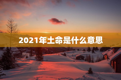 2025年土命是什么意思