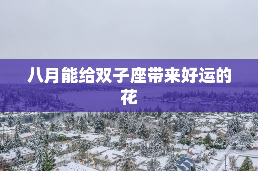 八月能给双子座带来好运的花