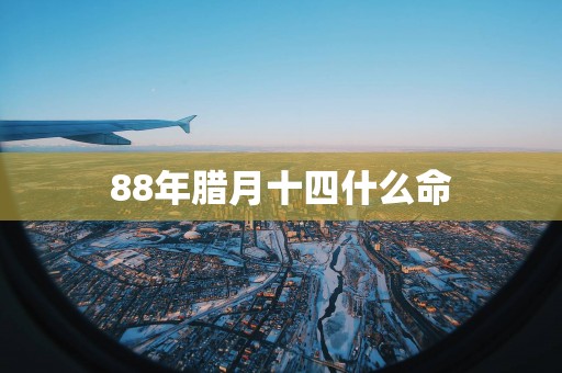 88年腊月十四什么命