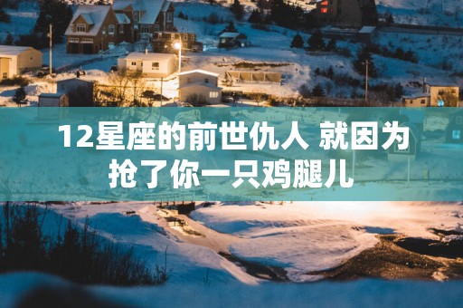12星座的前世仇人 就因为抢了你一只鸡腿儿