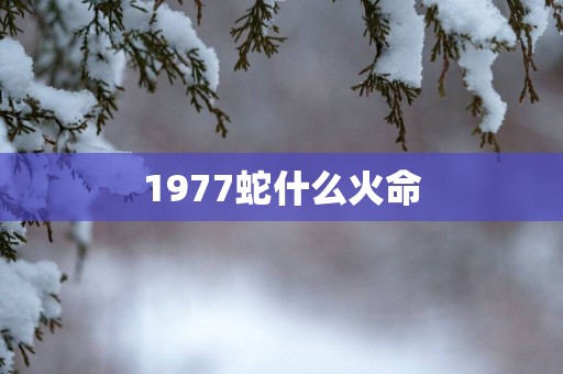 1977蛇什么火命