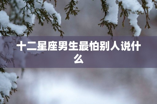 十二星座男生最怕别人说什么