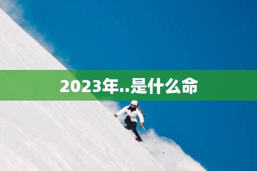 2025年..是什么命