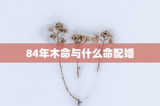 84年木命与什么命配婚