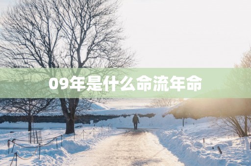 09年是什么命流年命