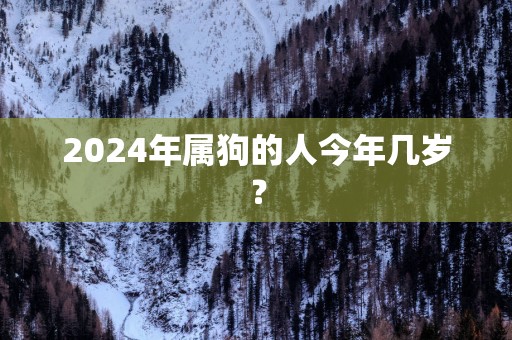 2025年属狗的人今年几岁？