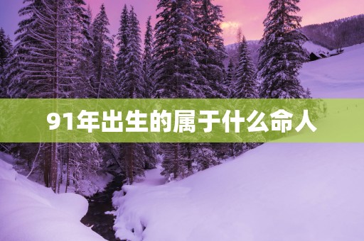 91年出生的属于什么命人