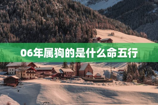 06年属狗的是什么命五行