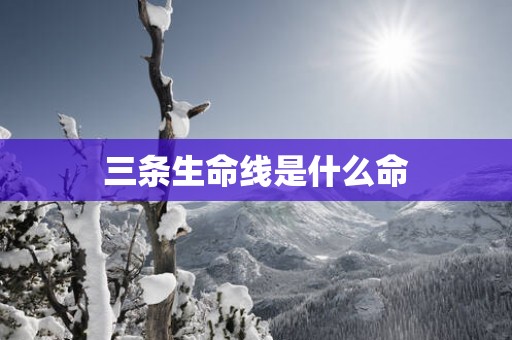 三条生命线是什么命