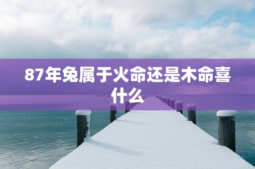 87年兔属于火命还是木命喜什么