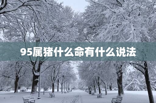 95属猪什么命有什么说法