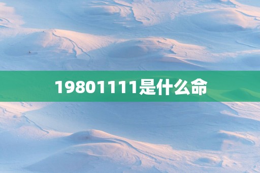 19801111是什么命