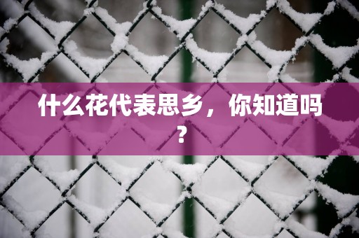 什么花代表思乡，你知道吗？