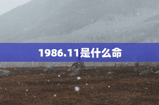 1986.11是什么命