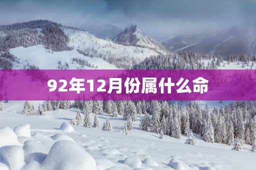 92年12月份属什么命