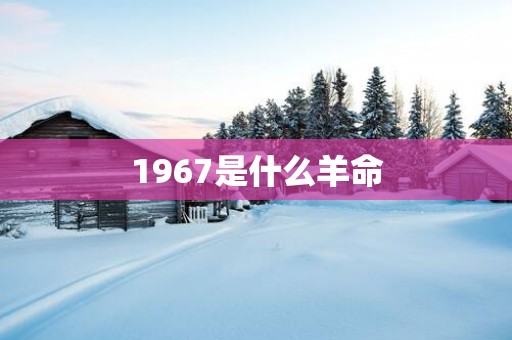 1967是什么羊命
