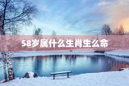 58岁属什么生肖生么命