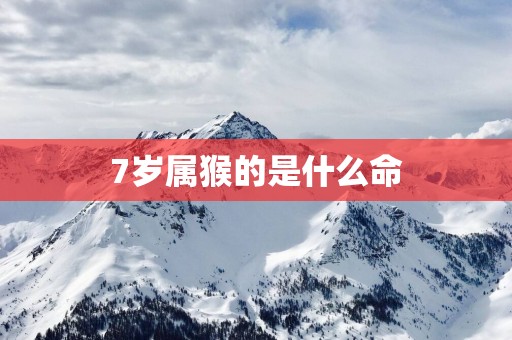 7岁属猴的是什么命