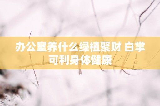 办公室养什么绿植聚财 白掌可利身体健康