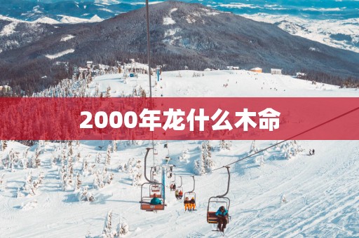 2000年龙什么木命