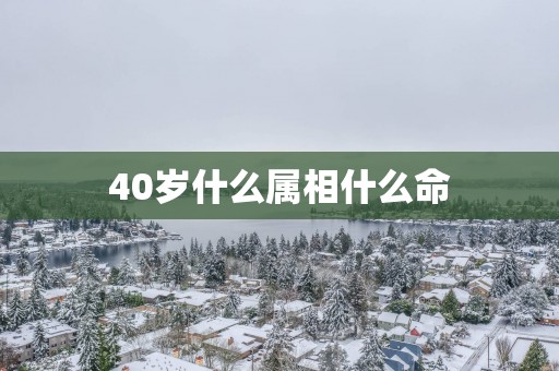 40岁什么属相什么命