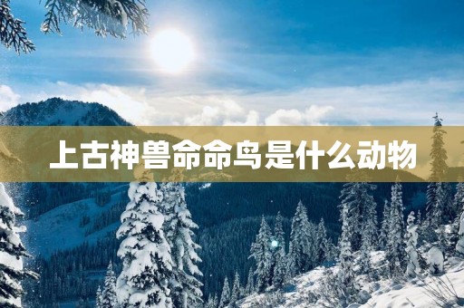 上古神兽命命鸟是什么动物