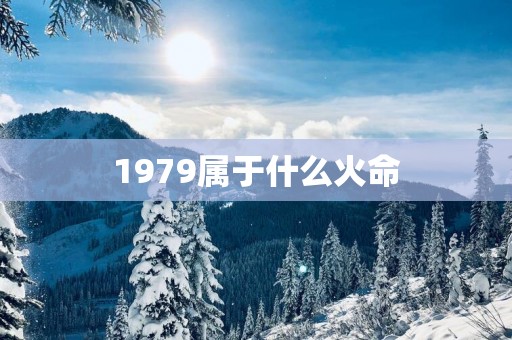 1979属于什么火命