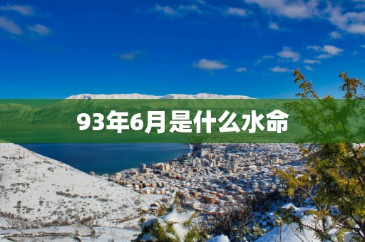93年6月是什么水命