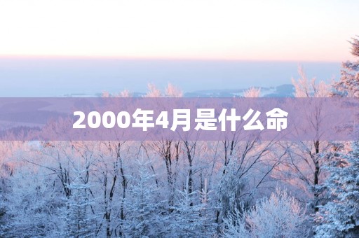 2000年4月是什么命