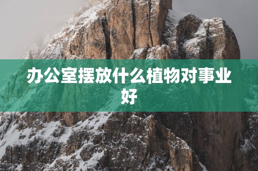 办公室摆放什么植物对事业好
