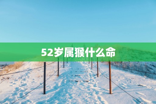 52岁属猴什么命