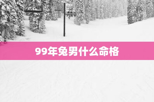 99年兔男什么命格