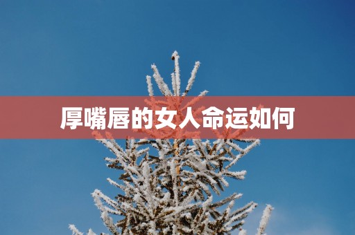 厚嘴唇的女人命运如何