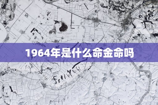 1964年是什么命金命吗