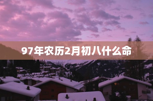 97年农历2月初八什么命