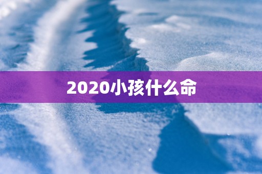 2025小孩什么命