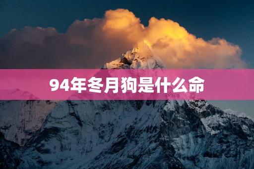 94年冬月狗是什么命