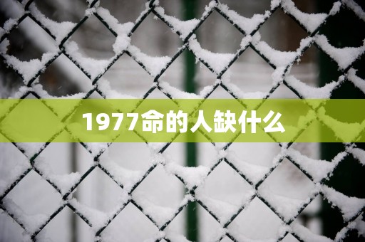 1977命的人缺什么