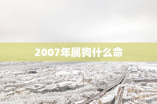 2007年属狗什么命