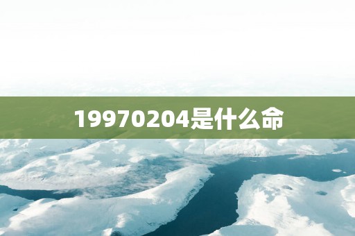 19970204是什么命