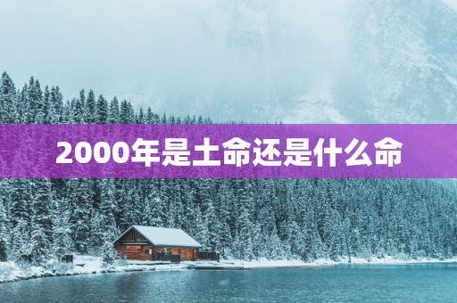 2000年是土命还是什么命