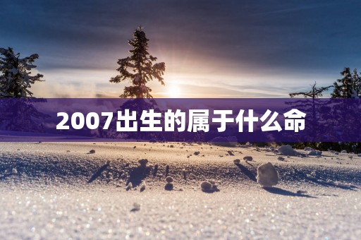 2007出生的属于什么命