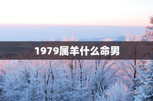 1979属羊什么命男