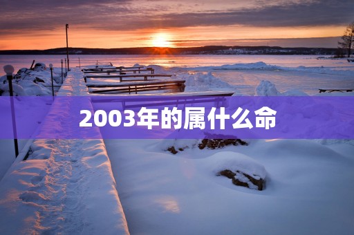 2003年的属什么命