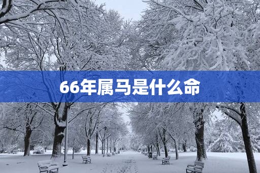 66年属马是什么命