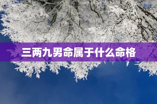 三两九男命属于什么命格