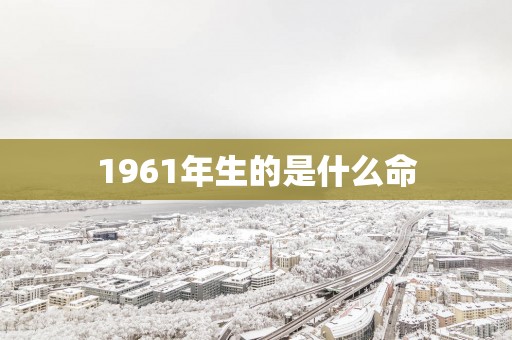 1961年生的是什么命
